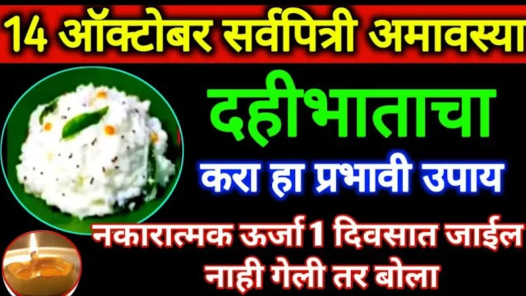 14 ऑक्टोबर सर्वपित्री अमावस्या दहीभाताचा करा हा प्रभावी उपाय, नकारात्मक ऊर्जा 1 दिवसात जाईल..