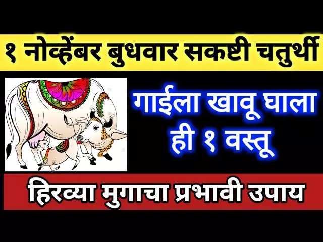 1 नोव्हेंबर बुधवार संकष्टी चतुर्थी गाईला खावू घाला ही 1 वस्तू, हिरव्या मुगाचा प्रभावी उपाय…