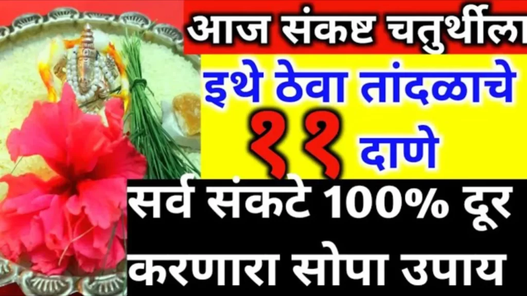 संकष्ट चतुर्थीला इथे ठेवा तांदळाचे 11 दाणे सर्व संकटे 100% दूर…