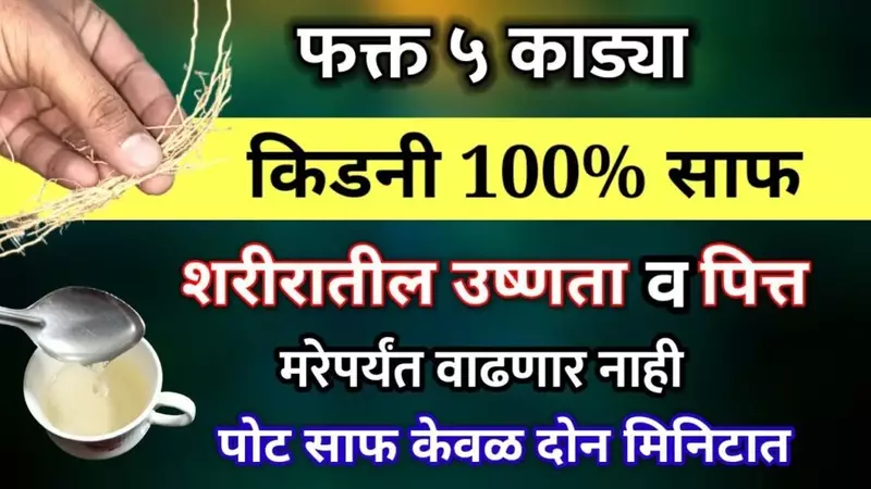 फक्त 5 काड्या किडनी 100% साफ शरीरातील उष्णता व पित्त मरेपर्यंत वाढणार नाही, पोट साफ केवळ दोन मिनिटात…